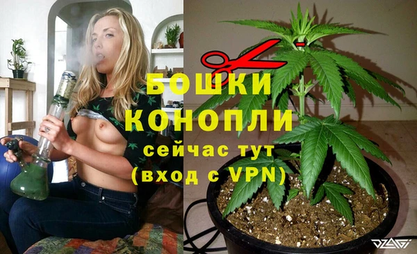 трава Арсеньев