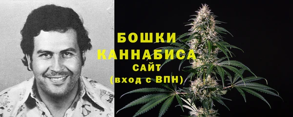 трава Арсеньев