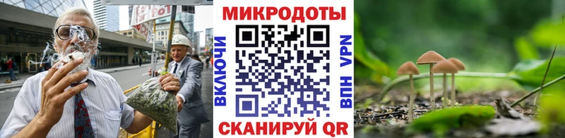 Галлюциногенные грибы прущие грибы  продажа наркотиков  Чекалин 
